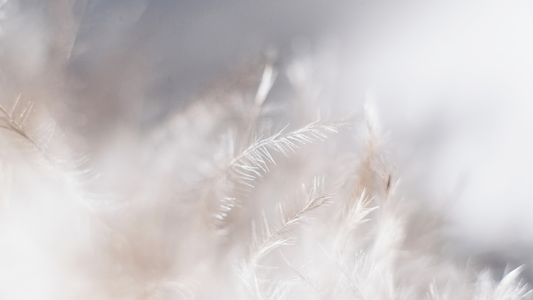 Close-up of soft, feather-like textures representing Lightweight Footwear Design and its comfort features.