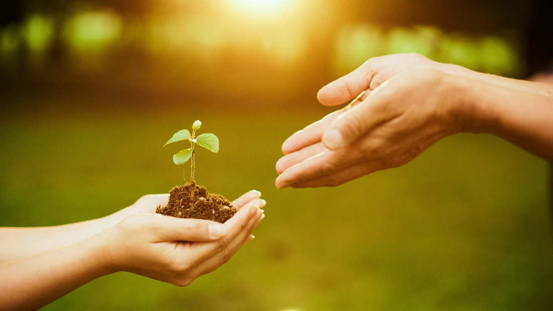 How Zyphor Is Rewriting the Future of Sustainable Footwear